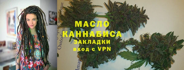 индика Балабаново