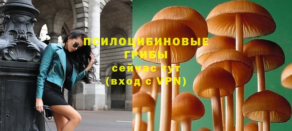 индика Балабаново
