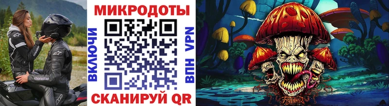 Псилоцибиновые грибы Psilocybine cubensis  Вольск 