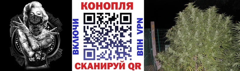 что такое   Вольск  Шишки марихуана сатива 